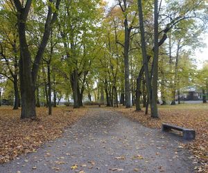 Park Lubomirskich w Białymstoku jesienią 