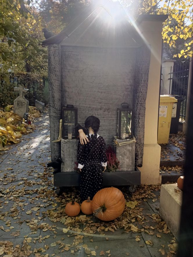 Willa na Jaśkowej Dolinie w Gdańsku znów straszy! Tegoroczny motyw Halloween budzi niepokój
