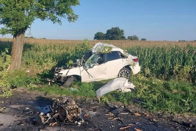 Samochód Norberta Szelle'a