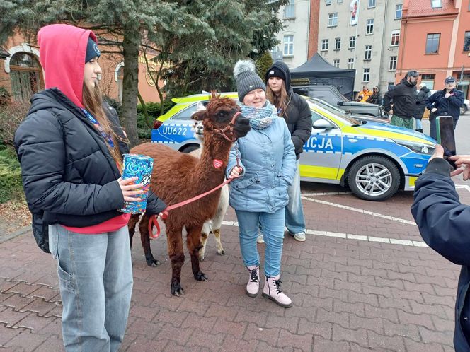 33. Finał WOŚP w Ostrzeszowie [FOTKI]