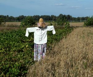 Skansen Osadnictwa Nadwislanskiego w Wiaczeminie Polskim