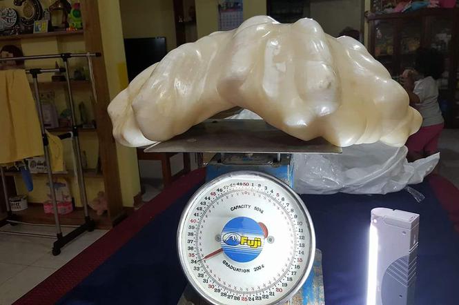 Filipińczycy znaleźli największą perłę na świecie!