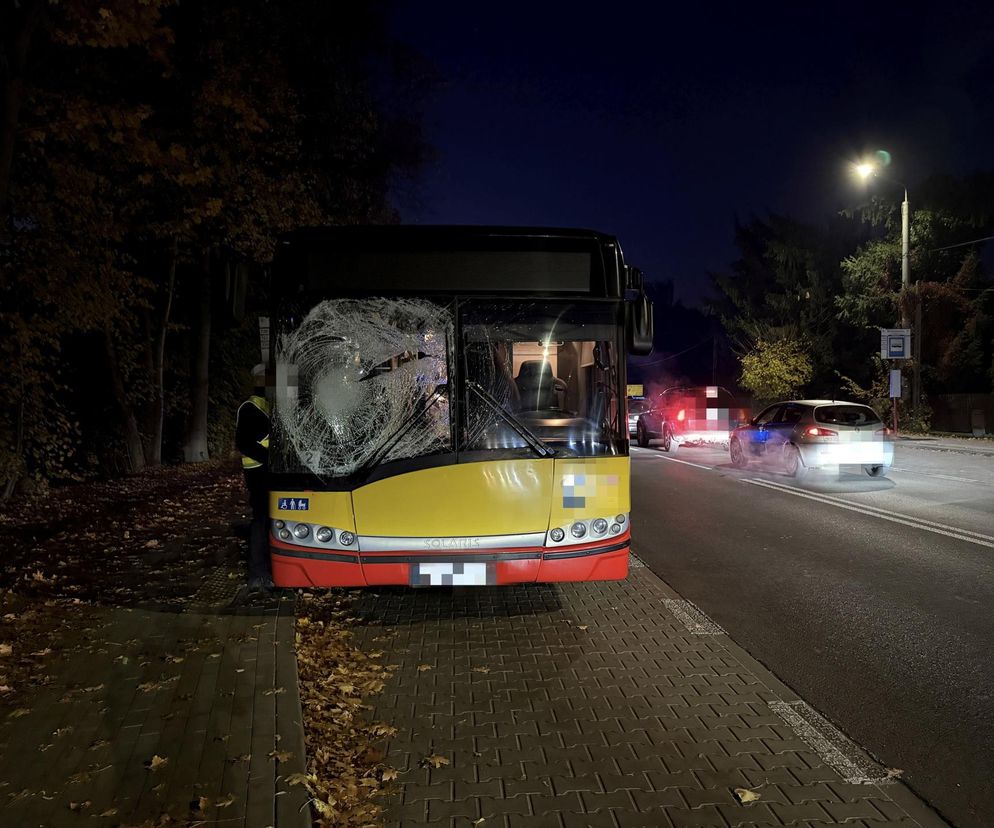 Wiązowna. Zderzenie autobusu z sarną 