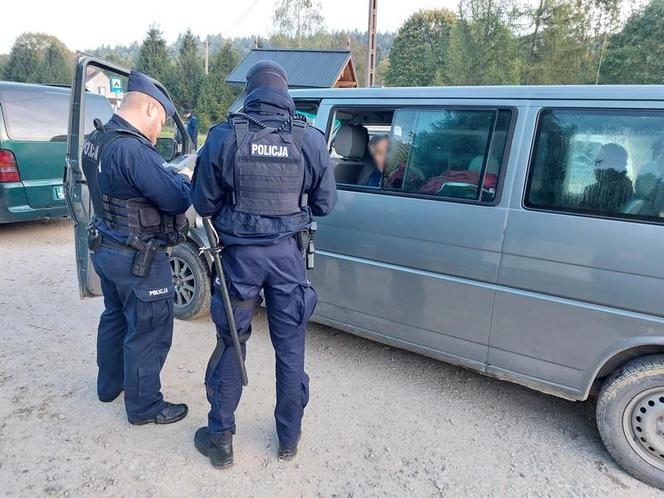 Najazd rumuńskich grzybiarzy na Podkarpaciu