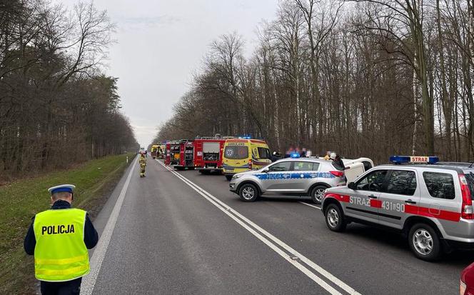 Łopiennik Podleśny. Groźny wypadek autokaru na DK 17. Wśród rannych dzieci