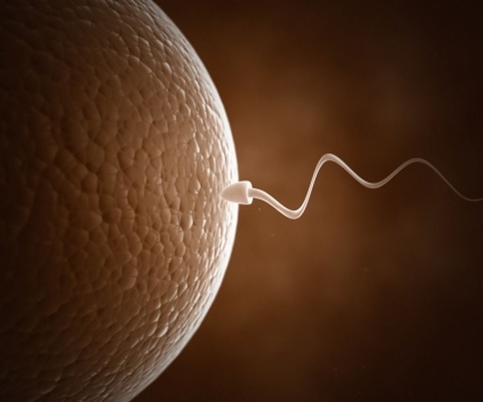 Cud poczęcia, czyli wszystko o zapłodnieniu