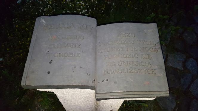 Jakie tajemnice kryją Górki Fordońskie?