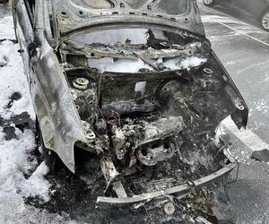 Pożar samochodu na S7. Auto spłonęło doszczętnie. Zobacz zdjęcia