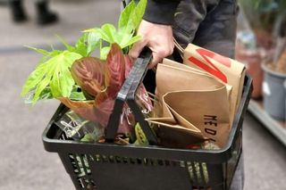 Festiwal Roślin 2024 w Białymstoku 