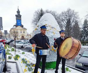 Wielkanocne bębnienie w Przeworsku 