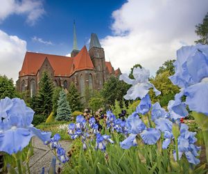 Najpiękniejszy ogród botaniczny w Polsce znów otwarty dla gości. Przygotuj się na widoki jak z bajki 