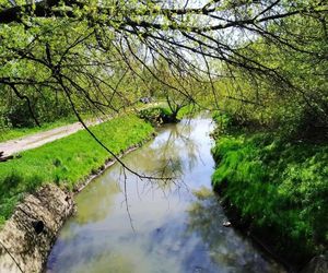 Miasto pozyskało 5 milionów złotych na rewitalizację terenów nad Mleczną i okolicach Piotrówki 