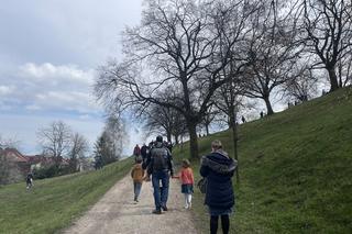 Święto Rękawki w Krakowie