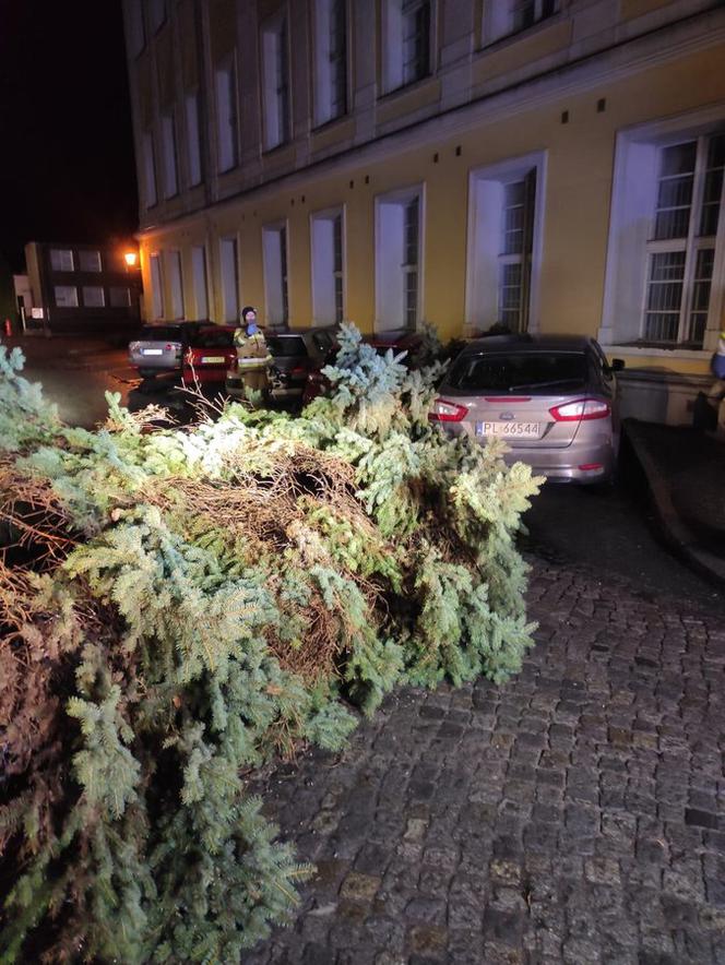 Wichura znów narobiła szkód w Lesznie i powiecie