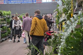 Festiwal Roślin znów zachwycił bydgoszczan! Setki gatunków i wyjątkowa atmosfera