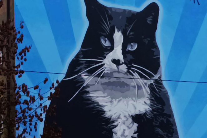 Mural z kotem Gackiem już odsłonięty