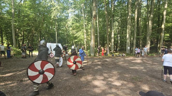 Festiwal Historii i Kultury Średniowiecznych Prus w Olsztynie przyciągnął tłumy. Zobacz zdjęcia!