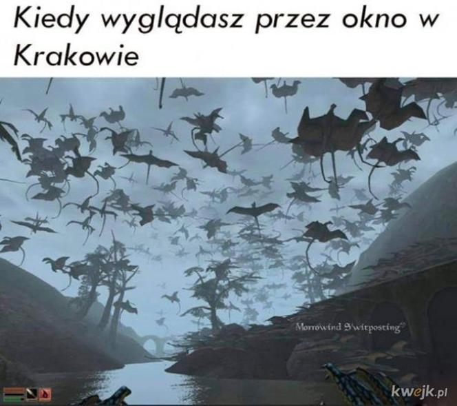 Najlepsze memy o Krakowie. Te grafiki bawią do łez 