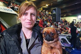 ​Psia elita w Lesznie. W hali Trapez odbyła się XXIV wystawa Champion of Champion's Show