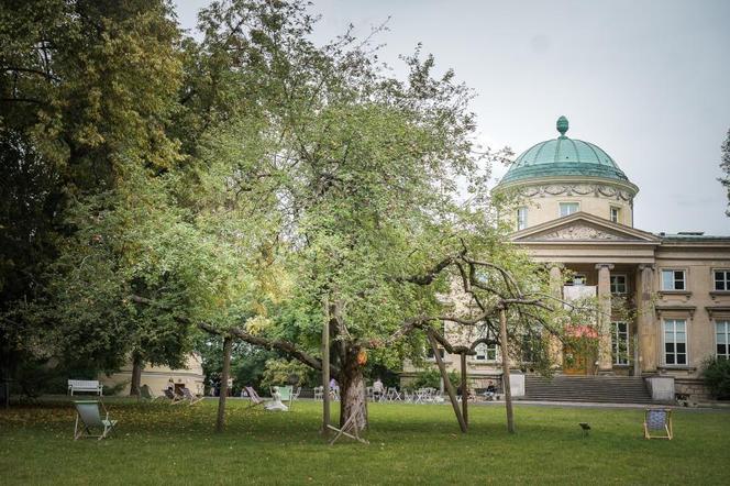 Ruszyło głosowanie na Warszawskie Drzewo Roku 2024
