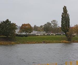 Grill nad Wartą