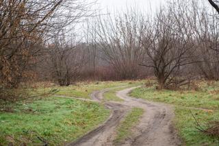 Powstaje projekt, który ucieszy rowerzystów. Nowa ścieżka rowerowa połączy dwa miasta