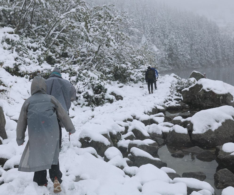 Tatry całkowicie zasypane śniegiem. Warunki są ekstremalnie trudne, TPN ostrzega turystów [WIDEO]