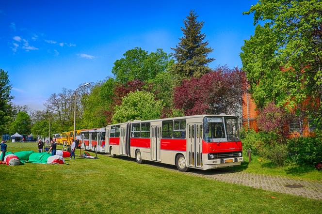 Nocna przejażdżka zabytkowymi autobusami. Klub Sympatyków Transportu Miejskiego zaprasza