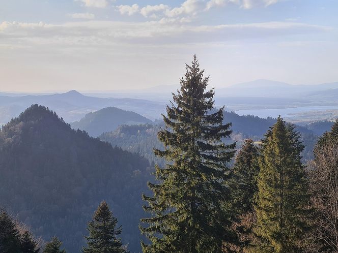 AI wybrała najlepsze miejsce na jesienny weekend w Małopolsce. Dla podróżników jest kultowe!