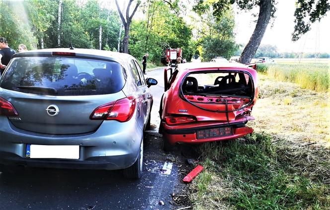 Śmiertelny wypadek pod Szamotułami. Pijany Ukrainiec staranował dwóch 14-latków 