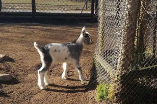 Malec przyszedł na świat 13 marca