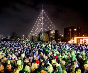 Holandia. Zapalili największą choinkę świata. Ma prawie 370 metrów! 