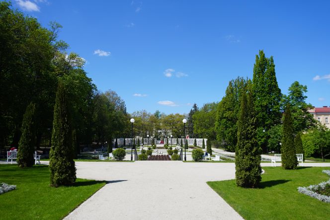 Różanka w Parku Planty po remoncie