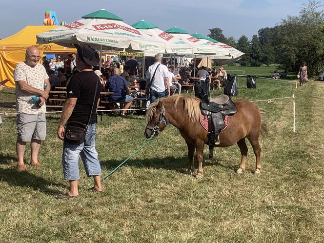 Wydarzenie odbywa się w dniach 7 i 8 września