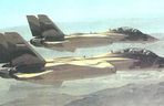 F-14 Tomcat