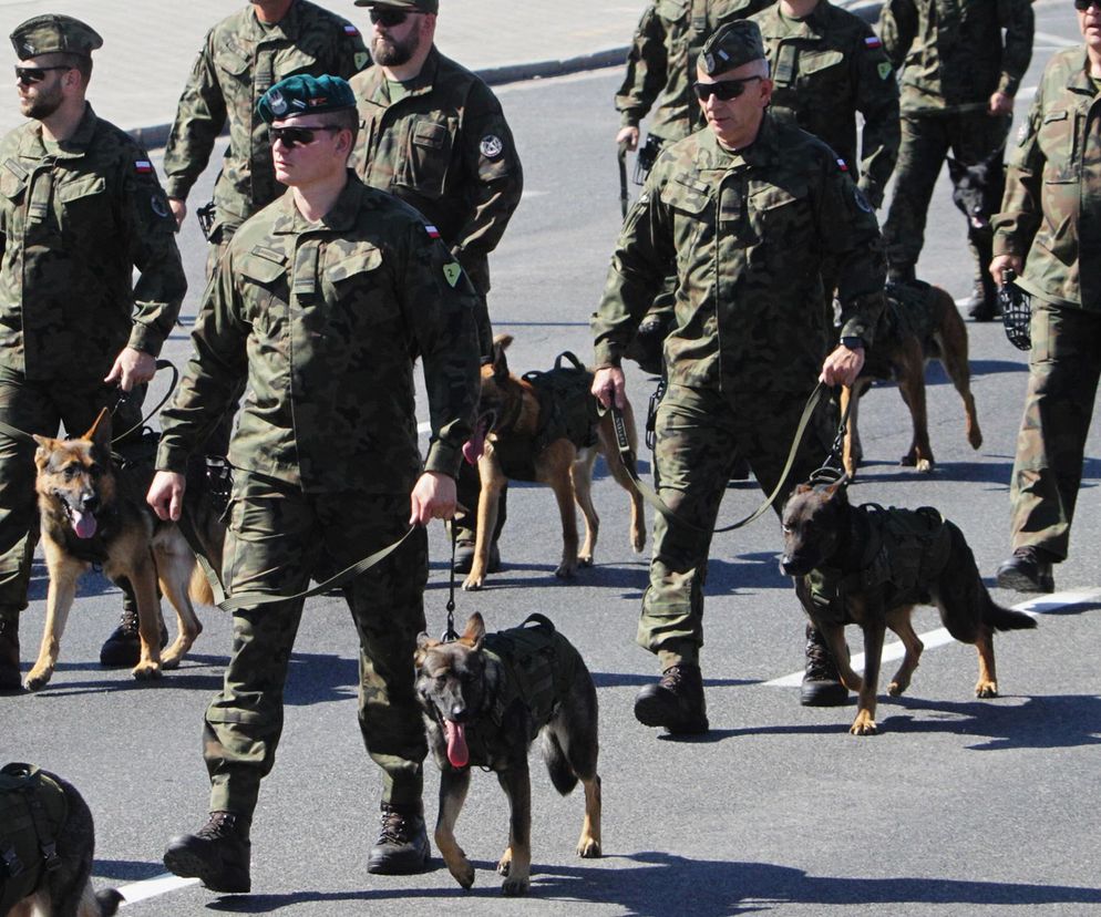 Defilada Wojska Polskiego bez psów. Upały pokrzyżowały plany. Znamy szczegóły