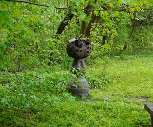 Ogród Botaniczny w Lublinie