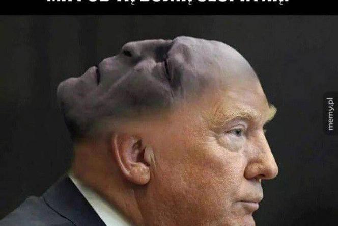 Donald Trump memy