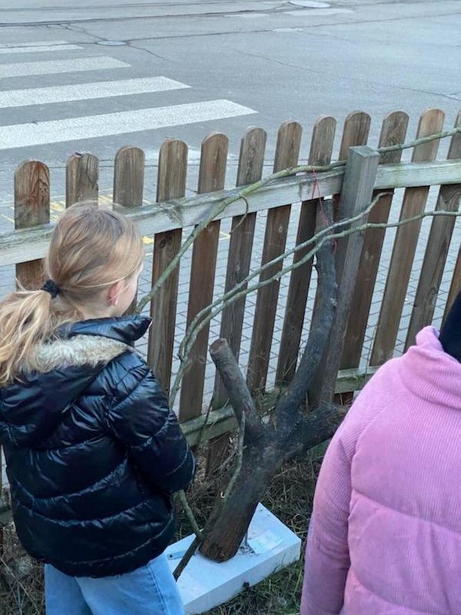 Muzeum Patyka w Toruniu