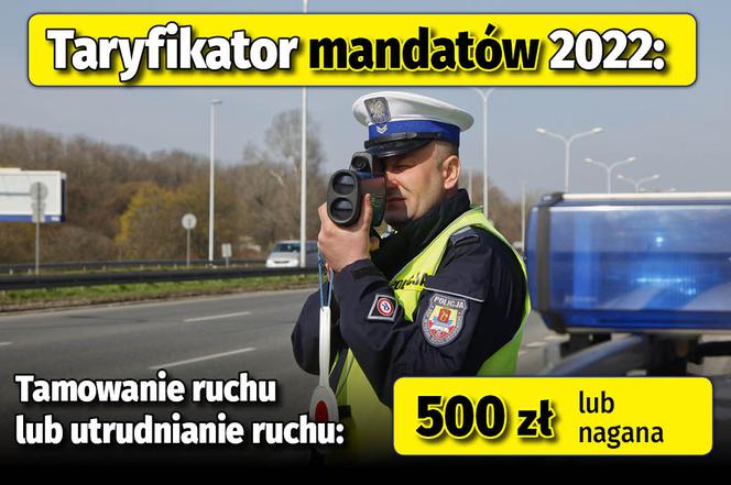 Taryfikator mandatów 2022 