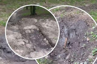 Urządzili sobie tor przeszkód w zabytkowym parku
