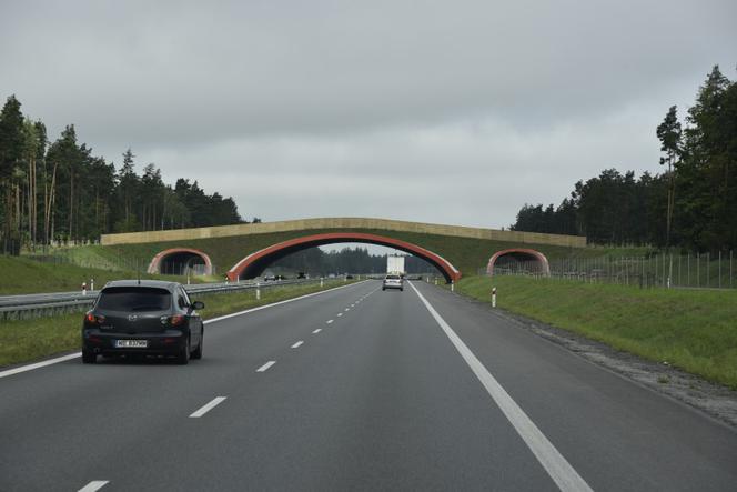 Budowa drogi ekspresowej S61. Jest zgoda na realizację ważnego odcinka [MAPA]