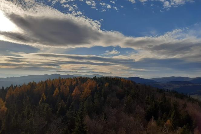 Krynicka Grupa GOPR przygotowana do sezonu letniego 