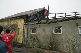 Ogień w stadninie koni. Koń nie przeżył pożaru [GALERIA]