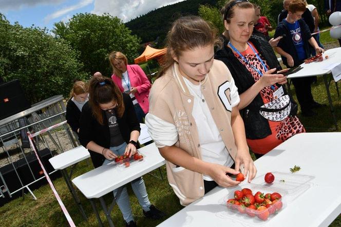 Dzień Świętokrzyskiej Truskawki w gminie Bieliny
