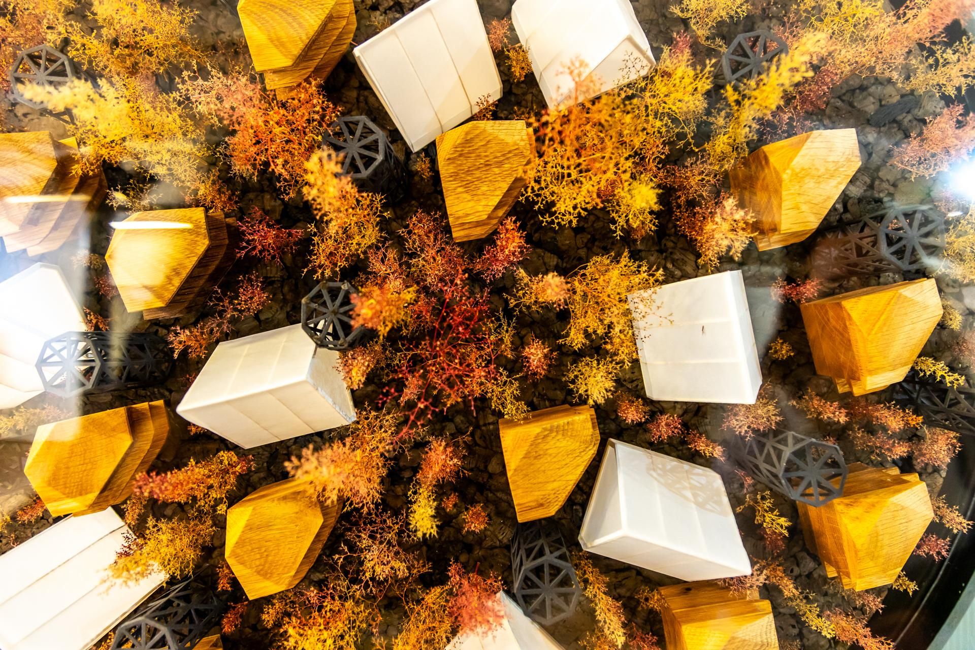 Łódź Design Festival 2025