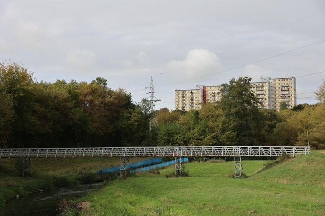 Jesienna odsłona terenów nad Bystrzycą w Lublinie. Tak się prezentuje w październiku