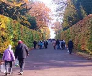 1 listopada na Cmentarzu Centralnym w Szczecinie
