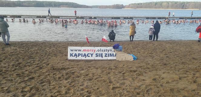 Olsztyńskie morsy nadal aktywne