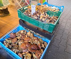 Ceny grzybów na Nowym i Starym Kleparzu w Krakowie